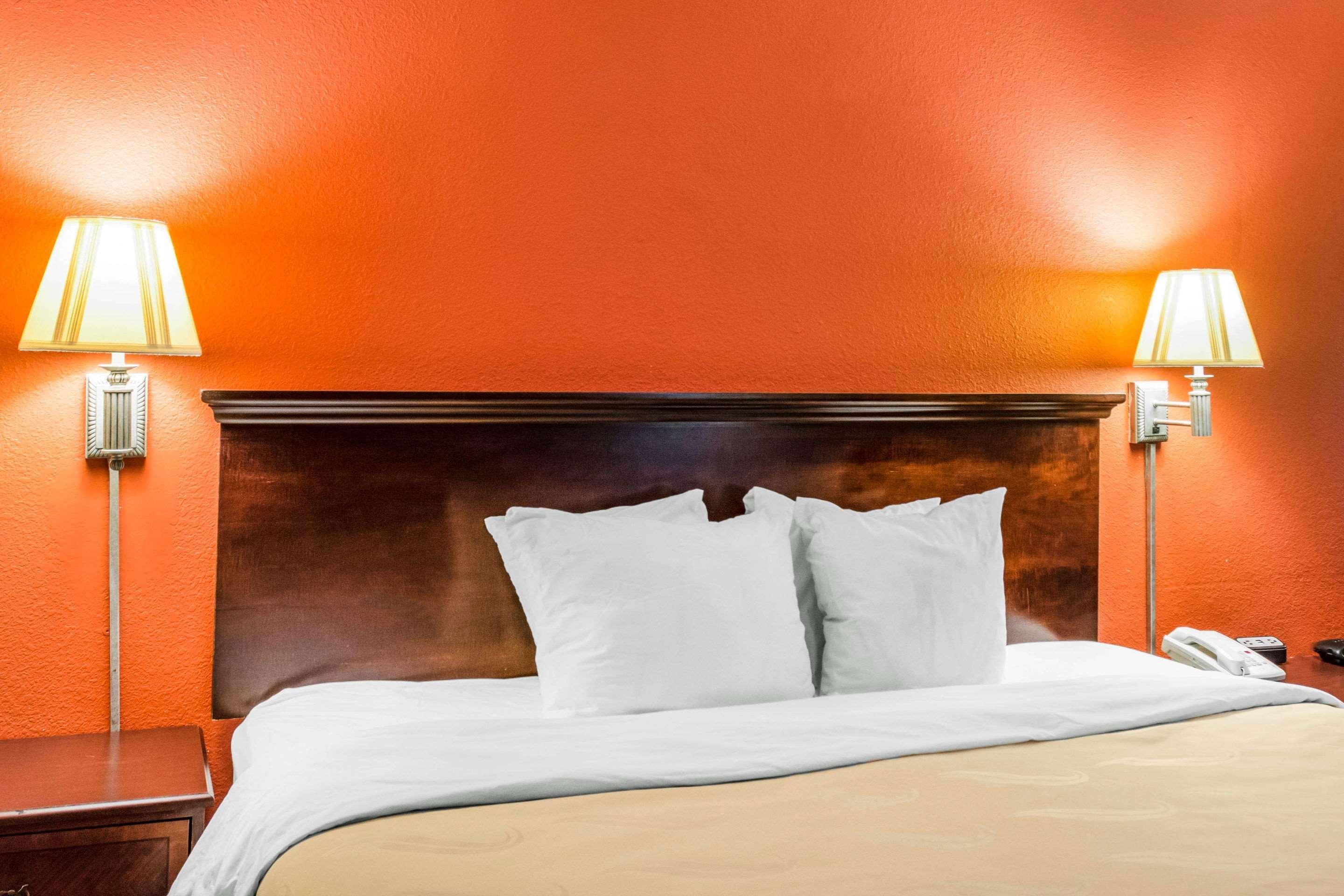 Quality Inn אלבני מראה חיצוני תמונה